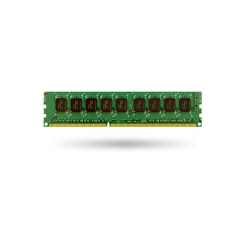 Synology 2GB ECC RAM Module