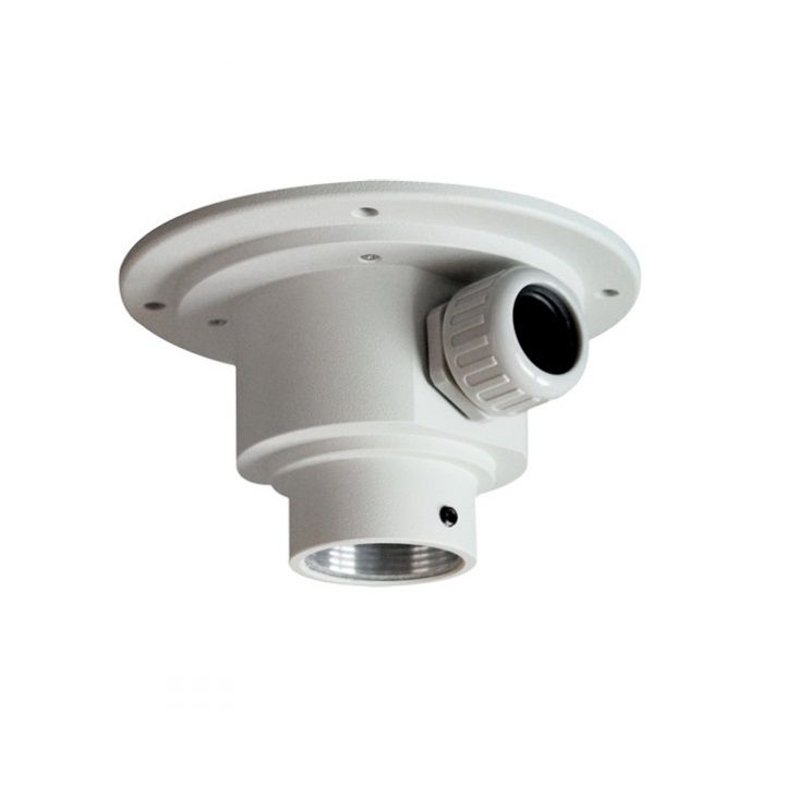 Vivotek AM-114 Outdoor Pendant Head