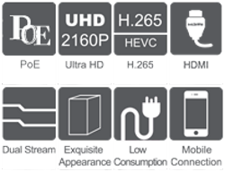 Mini PoE NVR Features